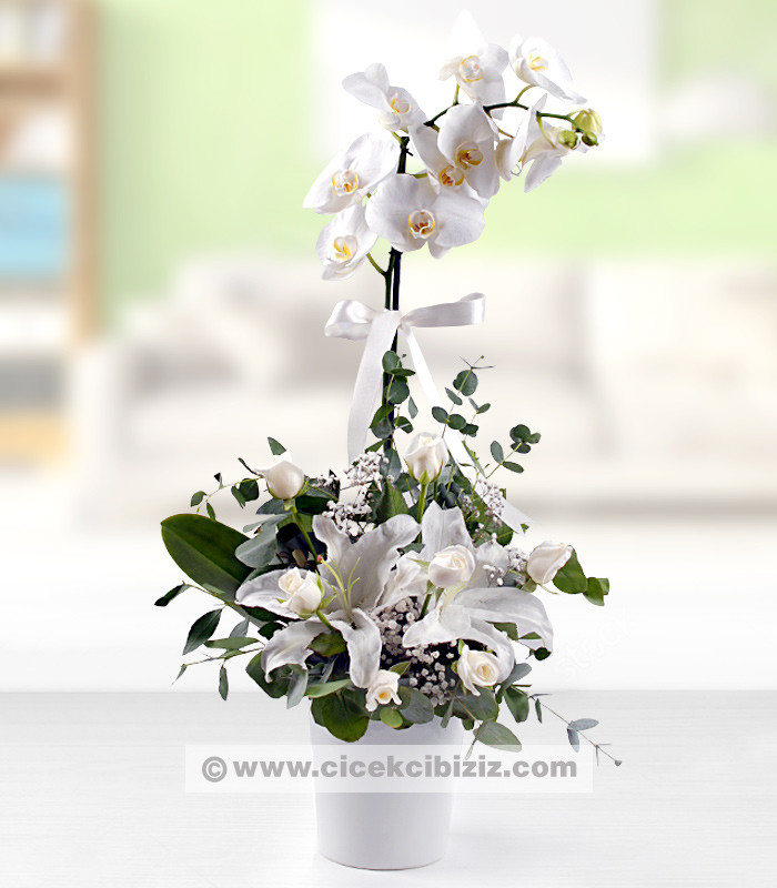 Beyaz Orkide & Gül & Lilyum Aranjmanı