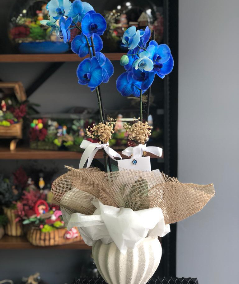 İkili Mavi Orkide Özel Ayaklı Vazo