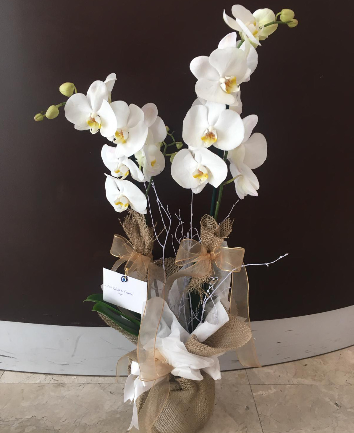 İkili Özel Beyaz orkide