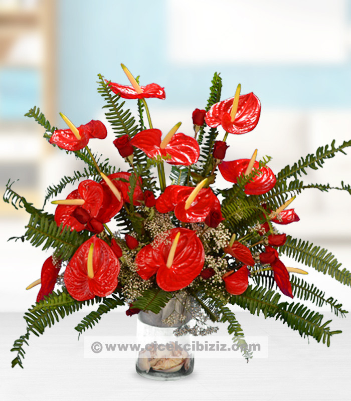 Kırmızı Antoryum Çiçeği Aranjmanı
