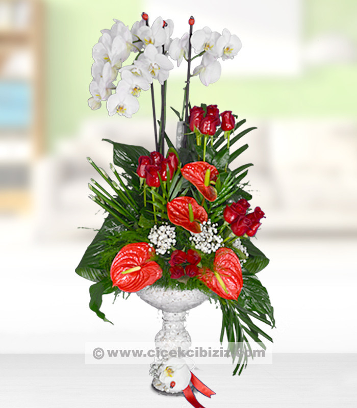 Orkide Çiçeği ve Antoryum Aranjmanı